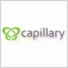 Capillary Technologies India Jobs Expertini
